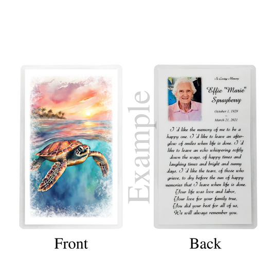 Florida Sunset Sea Turtle Example